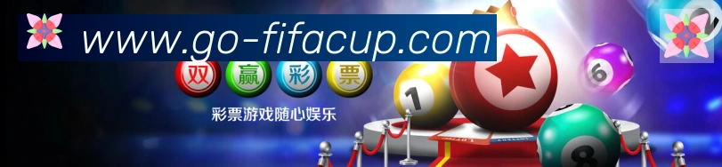 未来规划